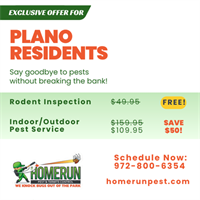 HOME RUN PEST & TERMITE CONTROL - Wylie