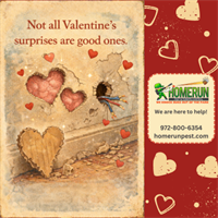 Love Your Home: Early Signs of Pest Activity to Watch For in Plano, Texas