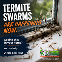 Termite Swarms in Plano, Texas: What Homeowners Need to Know (and What to Do Next)