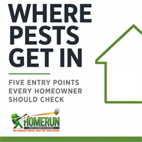 Where Pests Get In