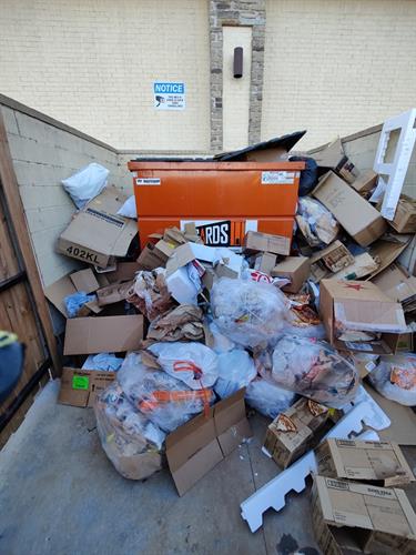 Commercial Dumpster Cleanout