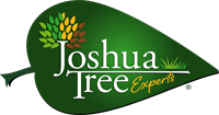 JOSHUA TREE EXPERTS