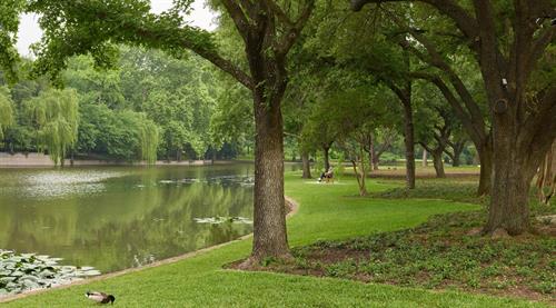 Gallery Image port_11.jpg