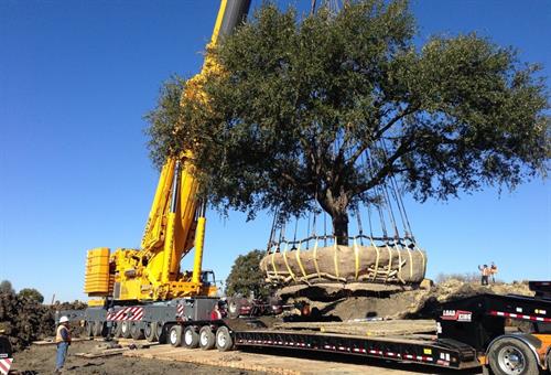 Gallery Image port_13.jpg