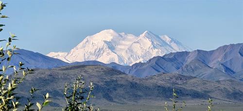 Denali in August.