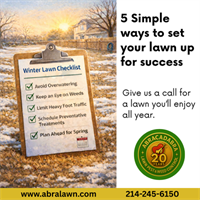 5 February Lawn Care Tips for Plano, Texas Homeowners