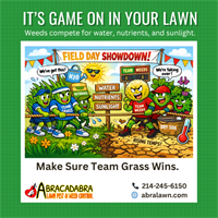 What Your Lawn Needs Right Now (April Lawn Care Guide for Plano, Texas)