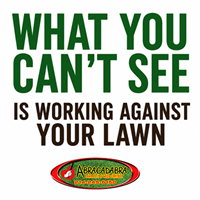What You Can't See Is Working Against Your Lawn