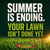 What Happens to Your Lawn After Summer Matters