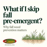 What if I skip fall pre-emergent?