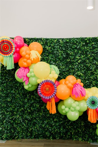 Fiesta balloon decor on boxwood backdrop
