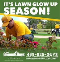 Spring Lawn Care Best Practices for Plano, TX Homeowners