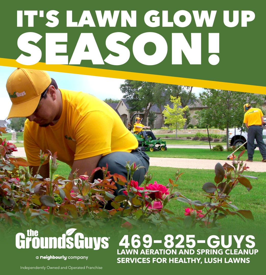 Spring Lawn Care Best Practices for Plano, TX Homeowners