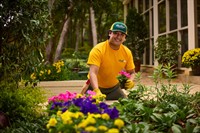 Why Your Flower Beds Look Tired by July — and the Simple Fix