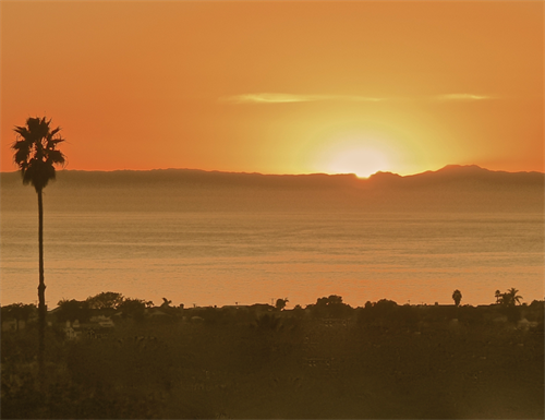 Gallery Image FIS_logo_background.png