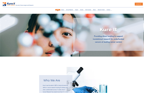 Website Design - Kure It 