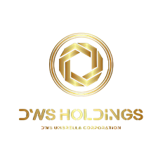 DWS Holdings, Inc.