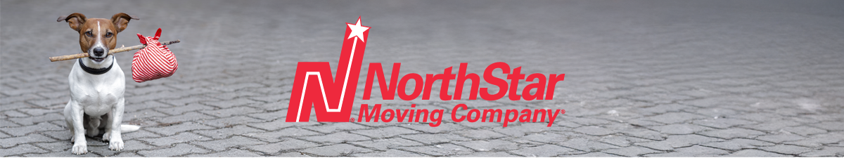 NorthStar Moving