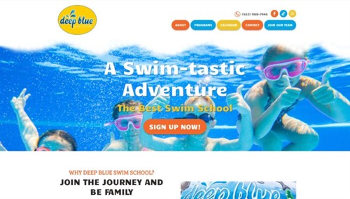 Fast WordPress website repair and emergency bug fixes by our local OC developers to get your site back online