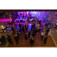 The Albany Museum of Art's 2026 Art Ball