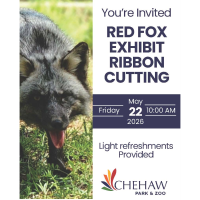 Ribbon Cutting celebrating the newest Zoo residents, Red Fox