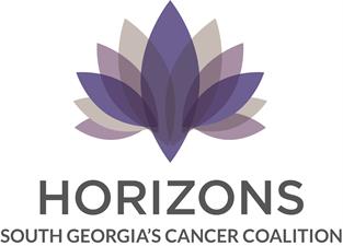 Horizons Community Solutions