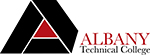 ALBANY TECH FOUNDATION INC