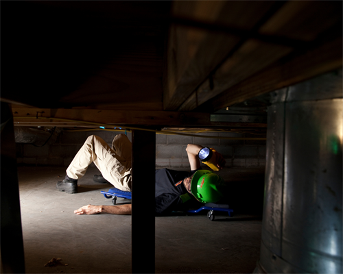 Gallery Image 9.png