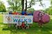 Liver Life Walk Arlington Heights