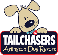 Tailchasers Arlington Pet Resort