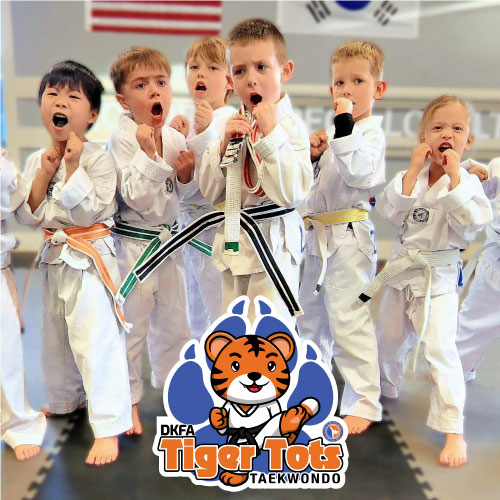 Taekwondo teaches more than self-defense! Kids learn cooperation, teamwork, and respect in a fun & disciplined environment.    This can help them develop strong social skills that last a lifetime!