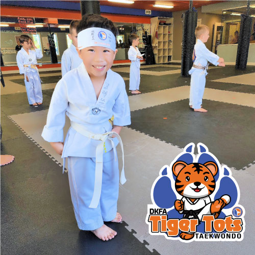 Taekwondo teaches teamwork and respect in a fun, disciplined environment.  Kids will learn to cooperate with peers and develop strong social skills through practice drills and working together.