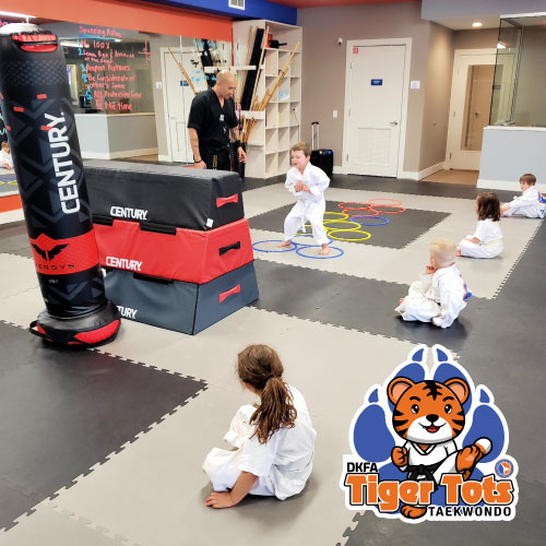 From the very first dojang step, watch your child blossom. Our Taekwondo program is a springboard for self-esteem, self-defense skills, and respect, nurturing resilient and well-rounded individuals.