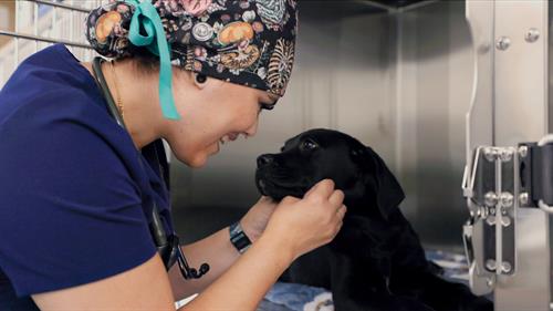 Gallery Image HoffmanEstates_47_(2).jpg