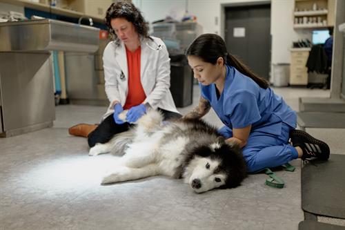 Gallery Image Thrive-TPHS-2024-Candids_04704_(1).jpg