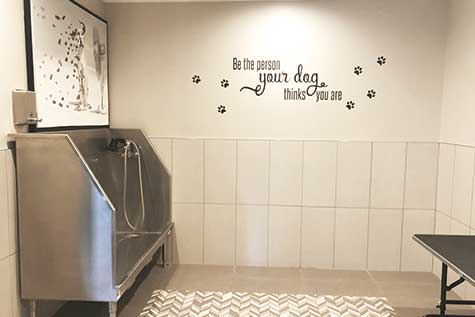 Gallery Image Dunton-Tower-Pamper-Pet.jpg Gallery Image Dunton-Tower-Pamper-Pet.jpg