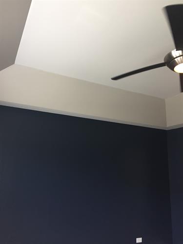Master Bedroom tray ceiling