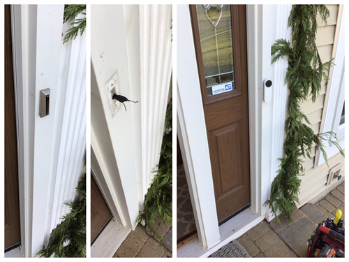 Door bell replacement 