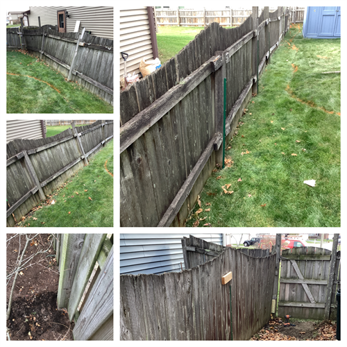 Gallery Image straighten_the_fence_12-2.png