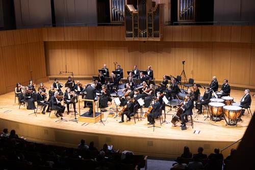 Camerata Chicago Chamber Orchestra at Armerding Concert Hall