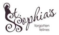 St. Sophia's Forgotten Felines