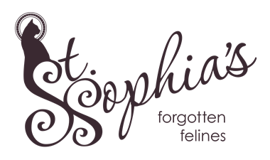 St. Sophia's Forgotten Felines St. Sophia's Forgotten Felines