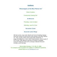 "Shenanigans at the Blue Pelican Inn" Auditions
