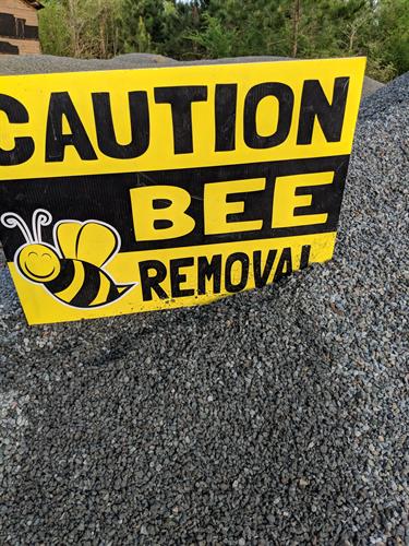Bee removal services