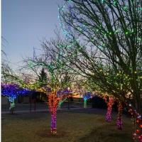 Grasso Lights: "Look on the Bright Side"