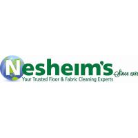 Nesheim's BBQ and Auto Interior Cleaning Sale
