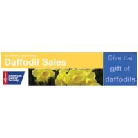 American Cancer Society Daffodil Days
