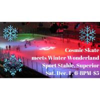 Sport Stable: Winter Wonderland Cosmic Skate
