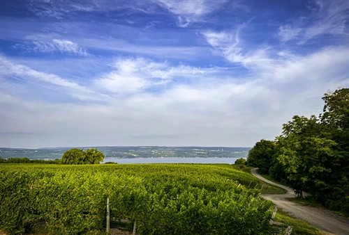 Gallery Image CEV-thomas.jpg