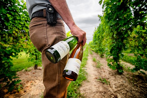 Gallery Image john-wagner-riesling-in-vineyard-2250x1502.jpg